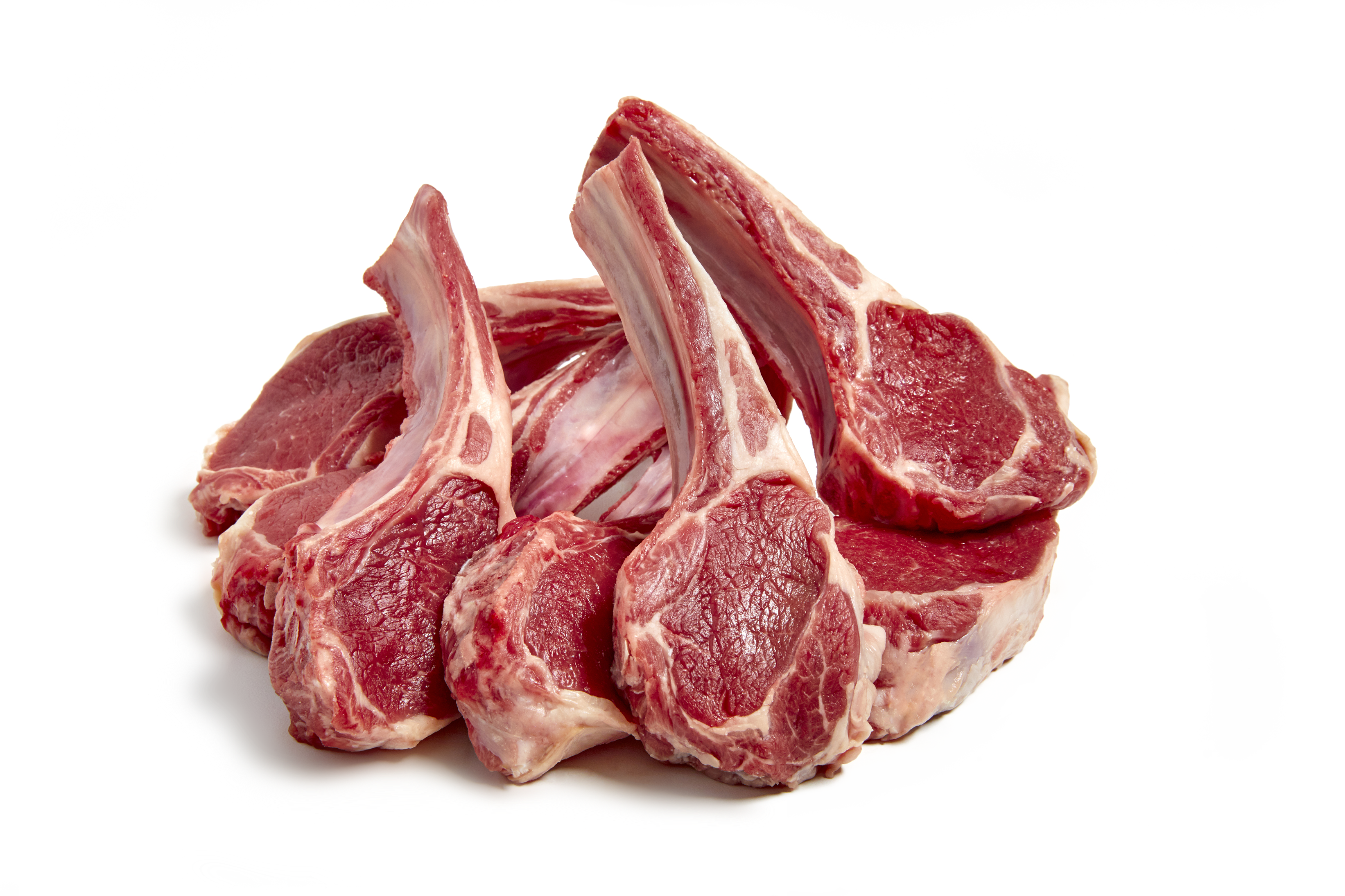 Small-LAMB-20190408_0100_Isolated_1-(1)